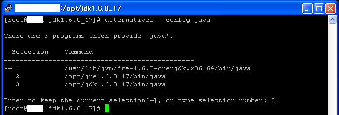 install java8