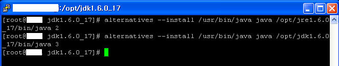 Java installation step 6: installing new java alternatives